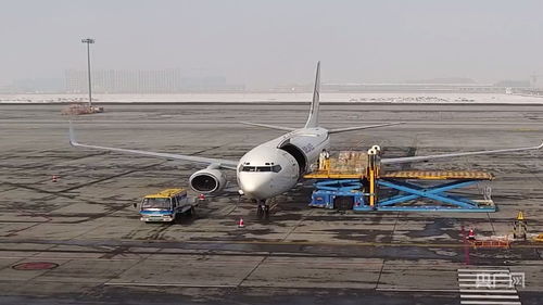 新疆國際貨運包機(jī)業(yè)務(wù)全面恢復(fù)，為國際物流注入新動能